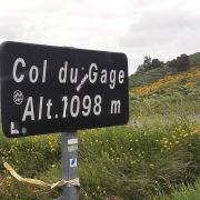 Img 20240614 wa0005