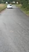 Img 20241006 wa0013